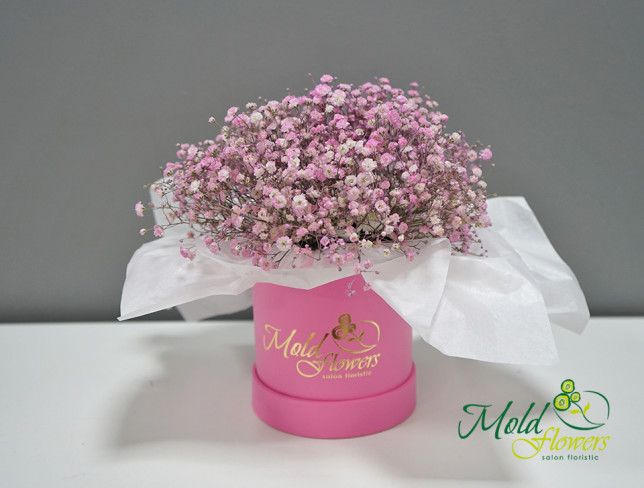 Коробка с розовой гипсофилой (под заказ, 10 дней) Фото